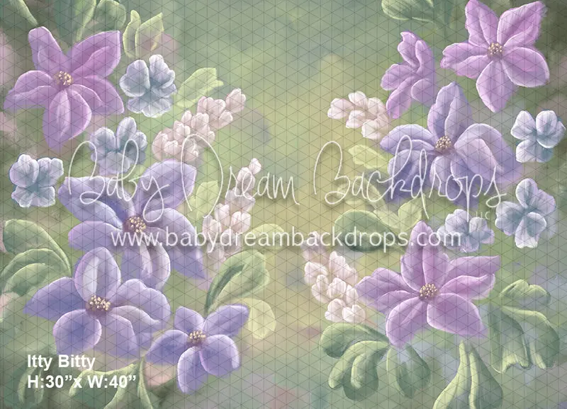 Itty Bitty Divine Spring Lullaby (Bd) 1
