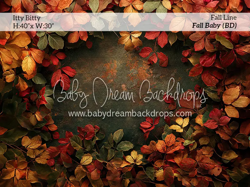 Itty Bitty Fall Baby (Bd) 1