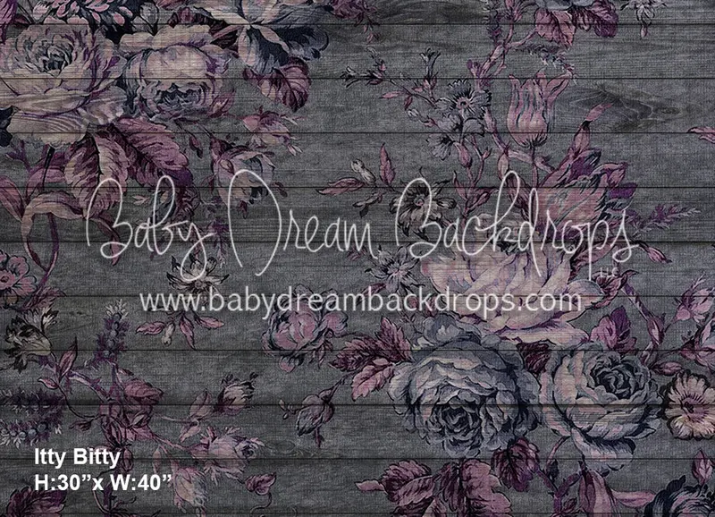 Itty Bitty Midnight Vintage (Bd) 1