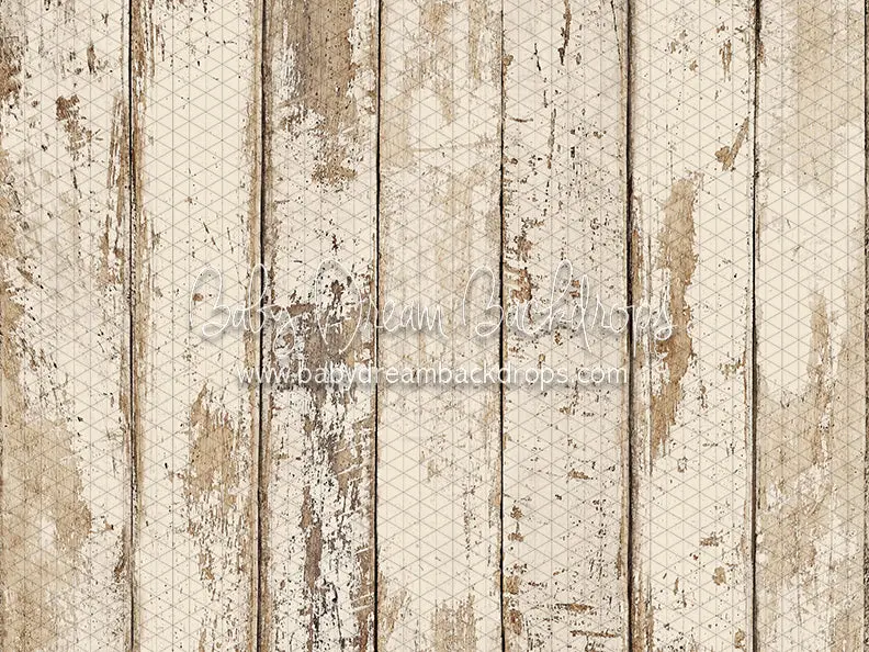 Itty Bitty Shiloh Creamy Planks (Cc) 1