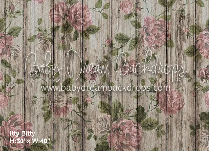 Itty Bitty Vintage Shabby (Bd) 1
