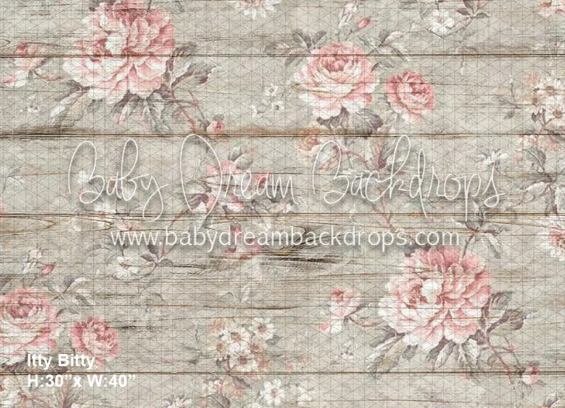 Itty Bitty Vintage Vines (Bd) 1