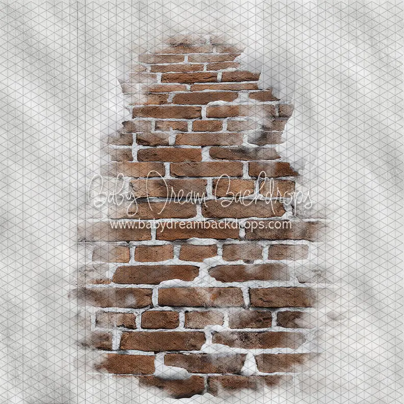 Jolly Brown Brick Path Floor (Cc) 1