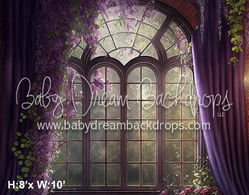 Lavender Flame (Bd) 1