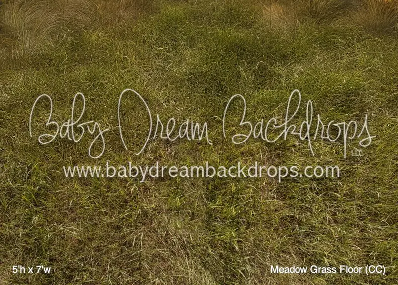 Meadow Grass Floor (Cc) 1