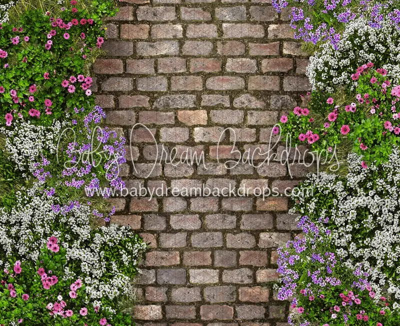 Mixed Floral Path (Cc) 1