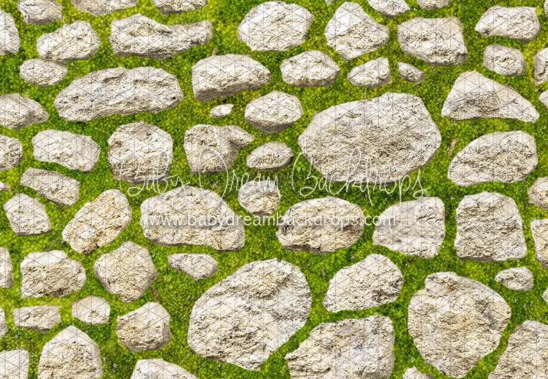 Mossy Spring Stone Floor (Cc) 1