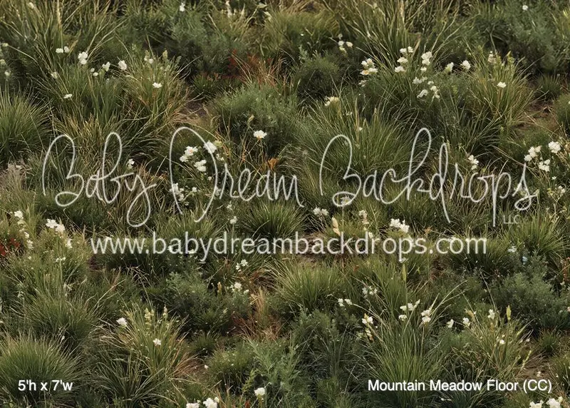 Mountain Meadow Floor (Cc) 1