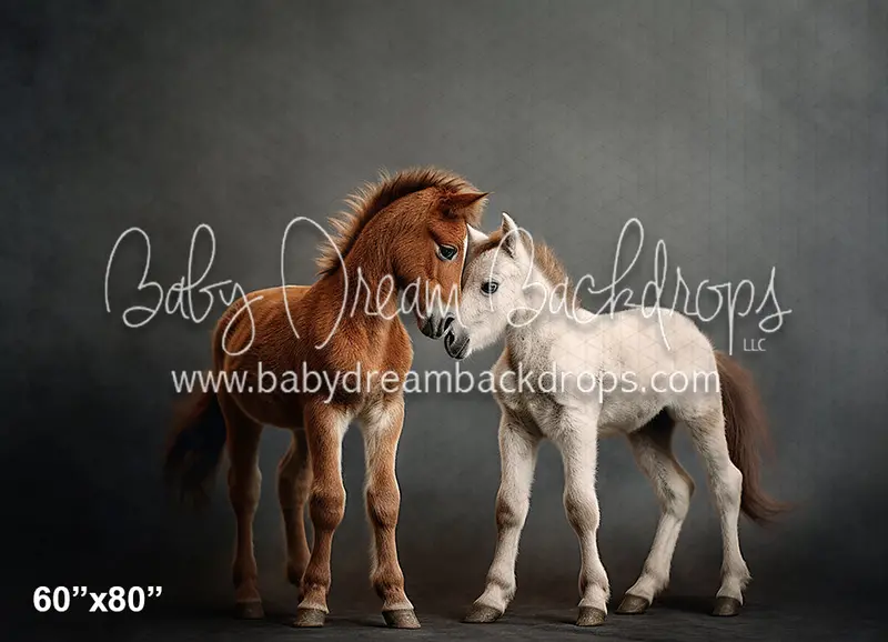 Nuzzling Foals (Az) 1
