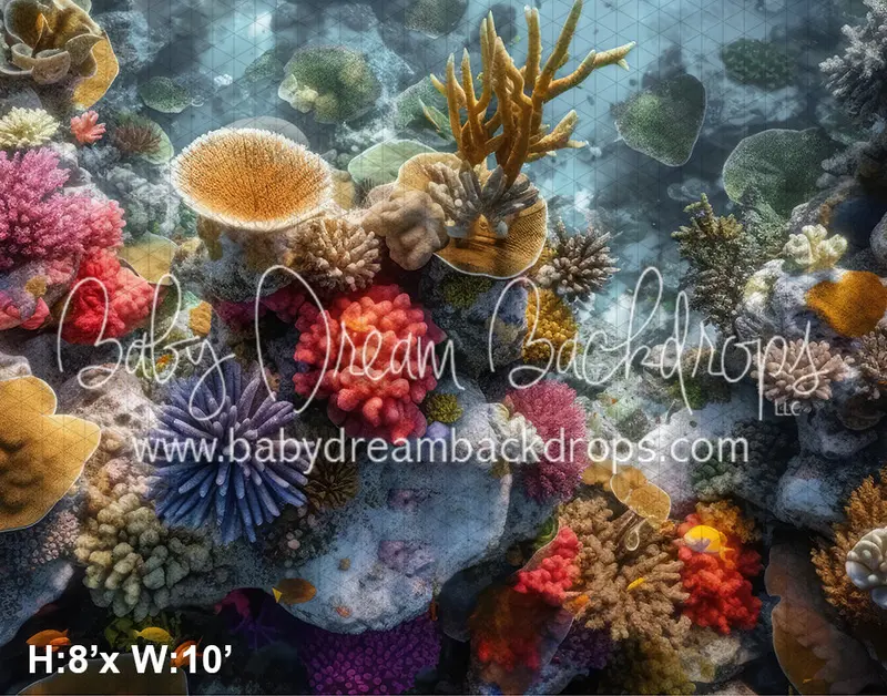 Oceanic Floor (Ad) 1