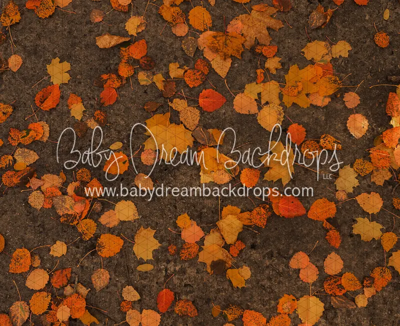 October Leafy Road Floor (Cc) 1
