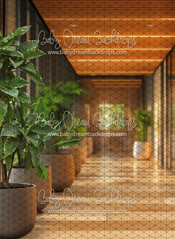 Office Hallway Greens (Cc) 1
