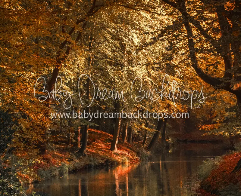On The Autumn Pond (Cc) 1