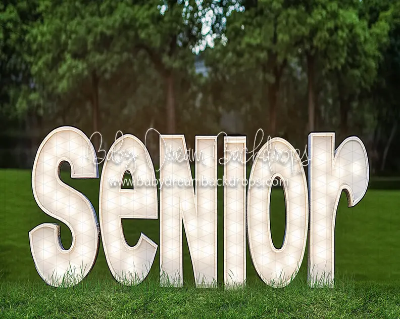 Outdoor Senior Party (Ja) 1