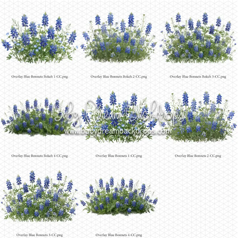 Overlays Blue Bonnets 1