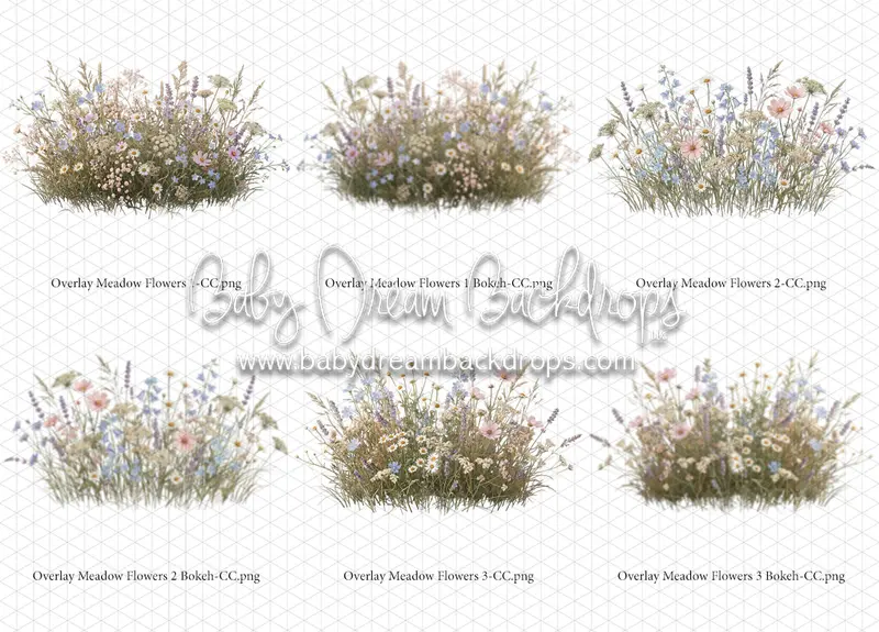 Overlays Meadow Flowers 1