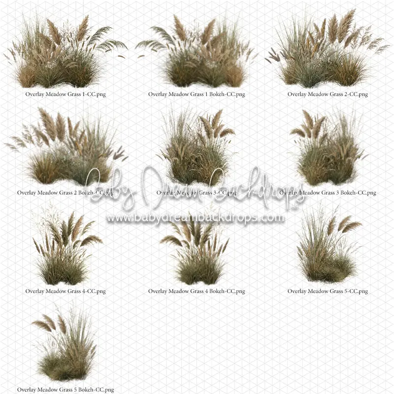 Overlays Meadow Grass 1