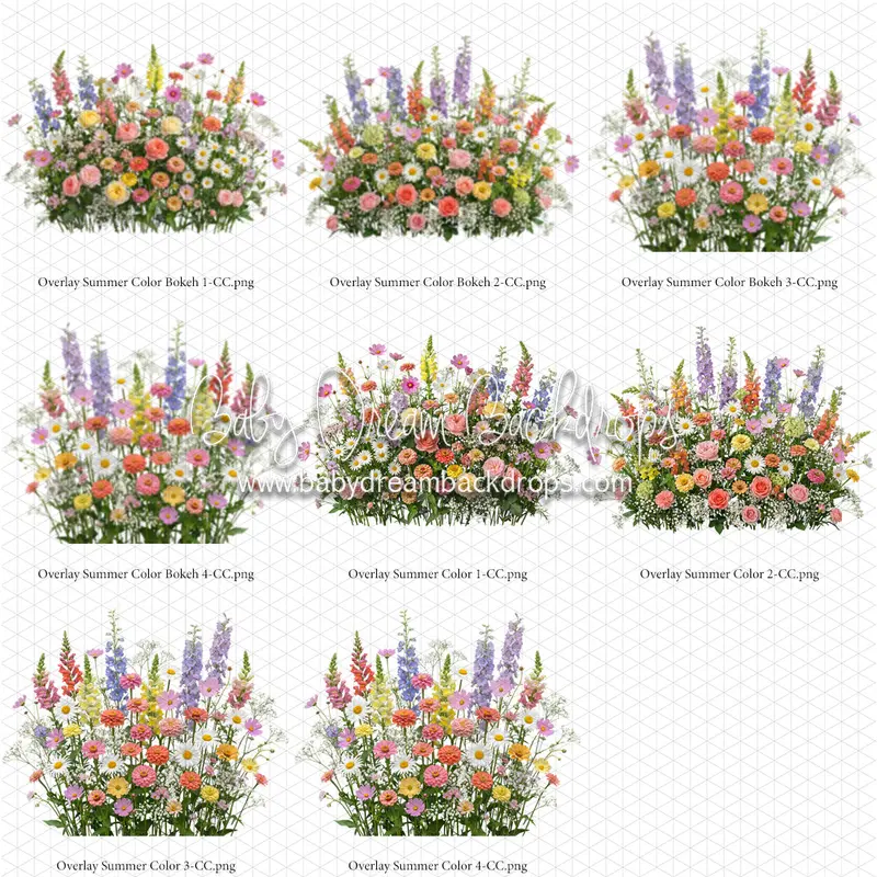 Overlays Summer Color 1