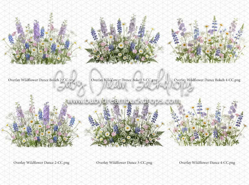 Overlays Wildflower Dance 1