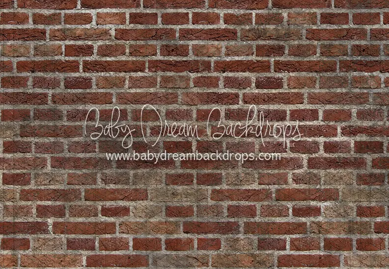 Peek A Boo Brick Floor (Ja) 1