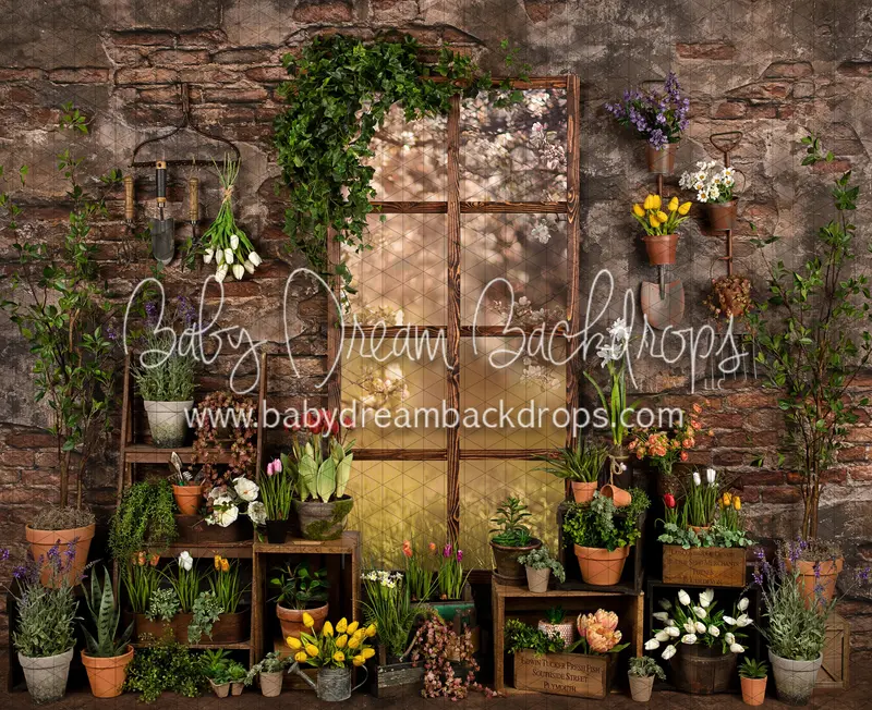 Perfect Potter Shed (Ja) 1
