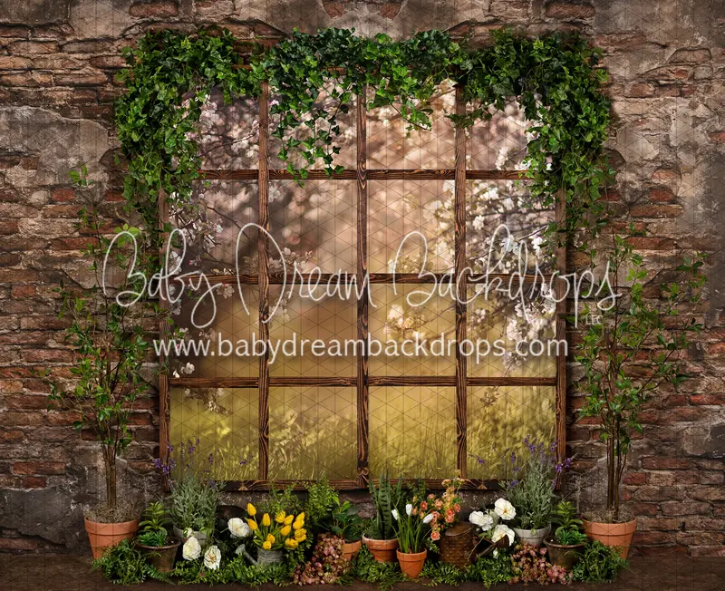 Perfect Potter Window (Ja) 1