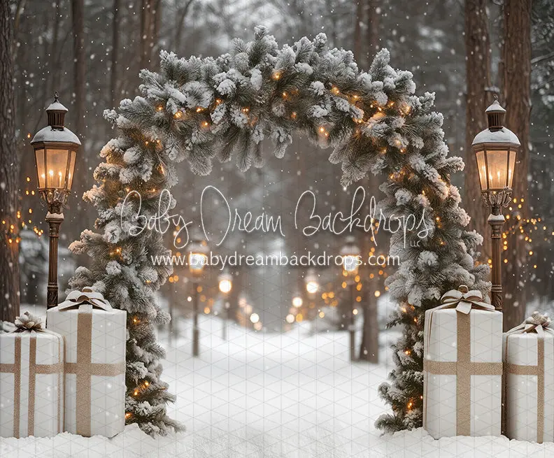 Present Path Frosty (Ja) 1