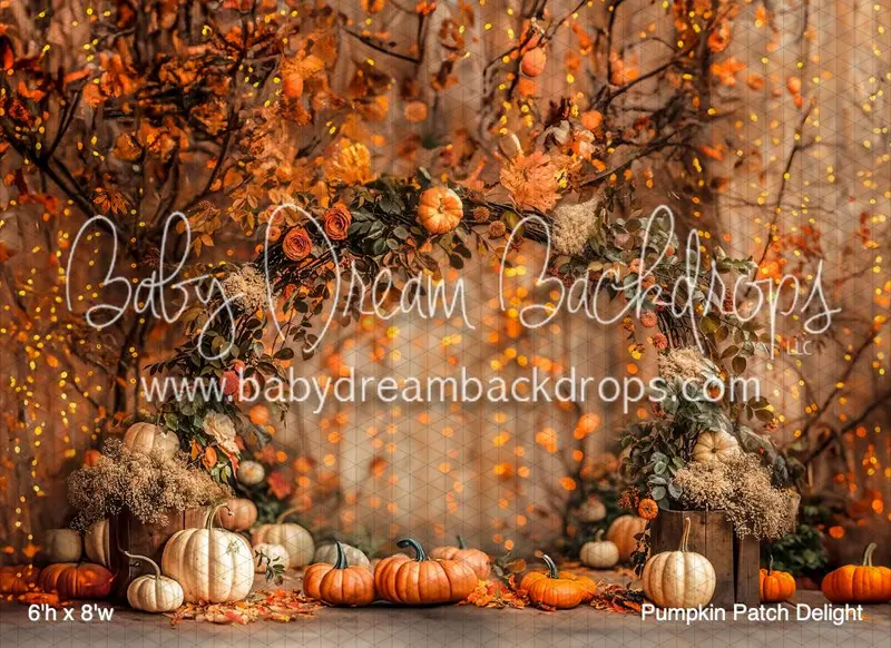 Pumpkin Patch Delight (Bd) 1