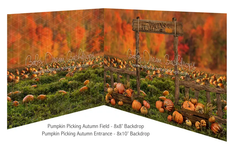 Pumpkin Picking Autumn Field And Pumpkin Picking Autumn Entrance Room 1