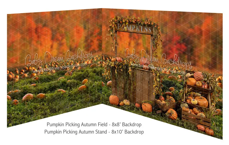 Pumpkin Picking Autumn Field And Pumpkin Picking Autumn Stand 1