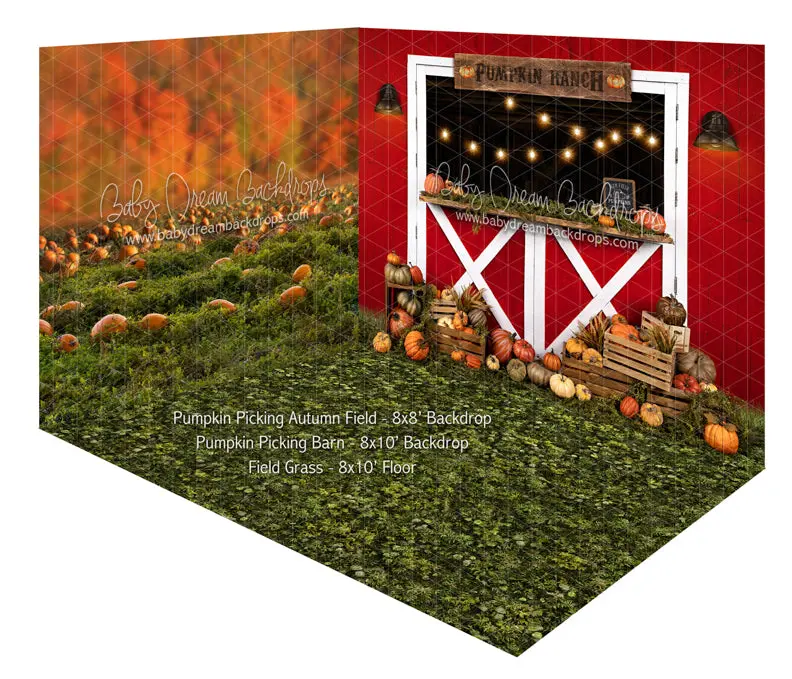 Pumpkin Picking Autumn Field And Pumpkin Picking Barn Room 1