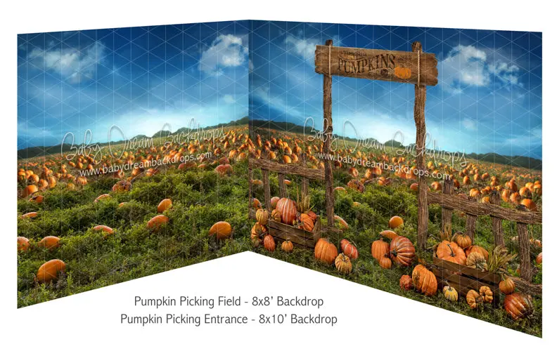 Pumpkin Picking Field And Pumpkin Picking Entrance 1