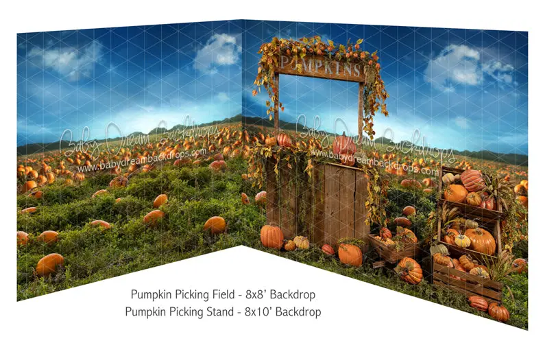 Pumpkin Picking Field And Pumpkin Picking Stand 1