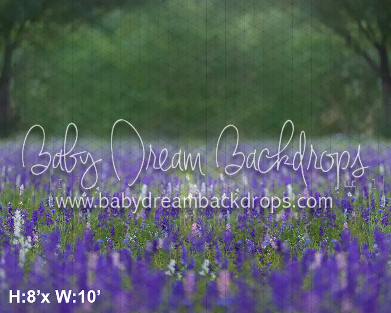 Purple Meadows (Ad) 1