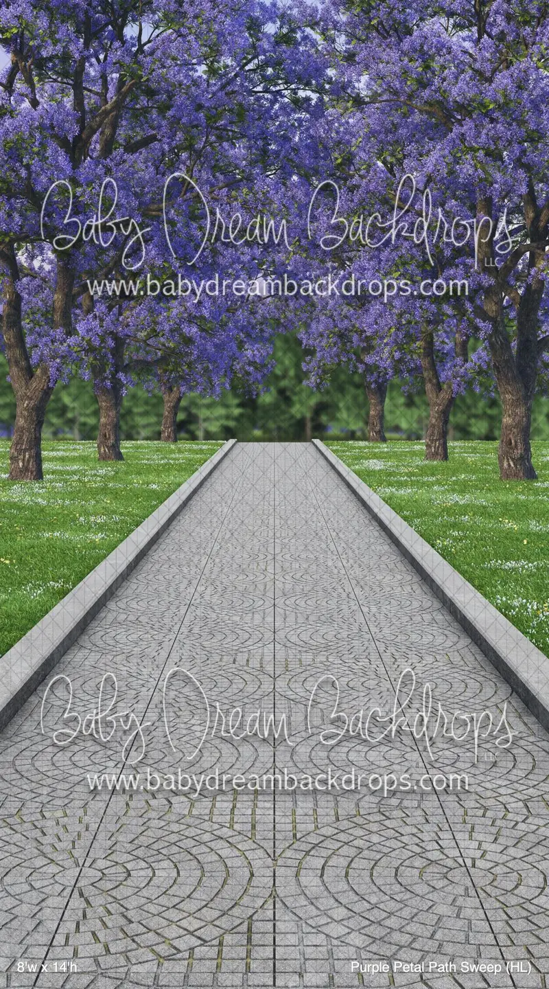 Purple Petal Path Sweep (Hl) 1