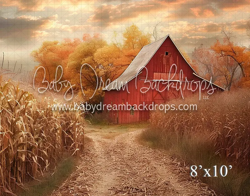 Red Barn 24 (Vr) 1