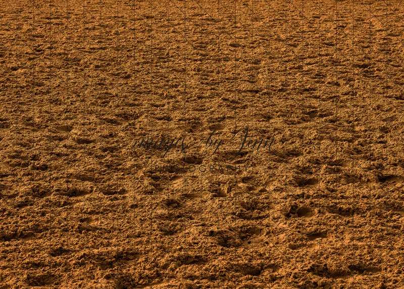 Rodeo Arena Dirt Floor (Jg) 1