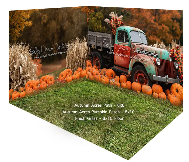 Room Autumn Acres Path + Pumpkin Patch + Fresh Grass 1