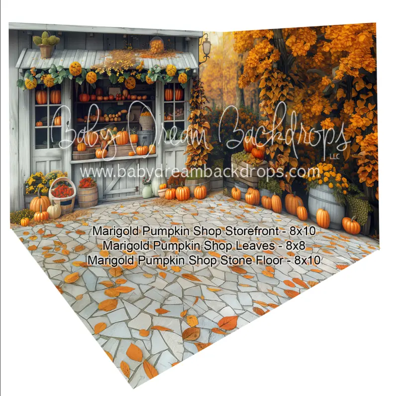 Room Marigold Pumpkin Shop Storefront + Marigold Pupkin Shop Leaves + Marigold Pumpkin Shop Stone Floor 1