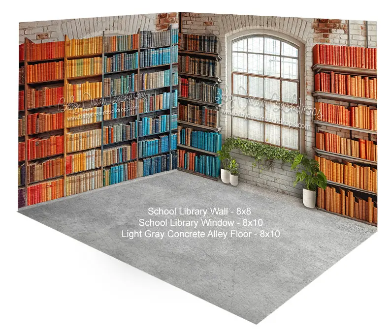 Room School Library Wall + Window + Light Concrete Floor 1