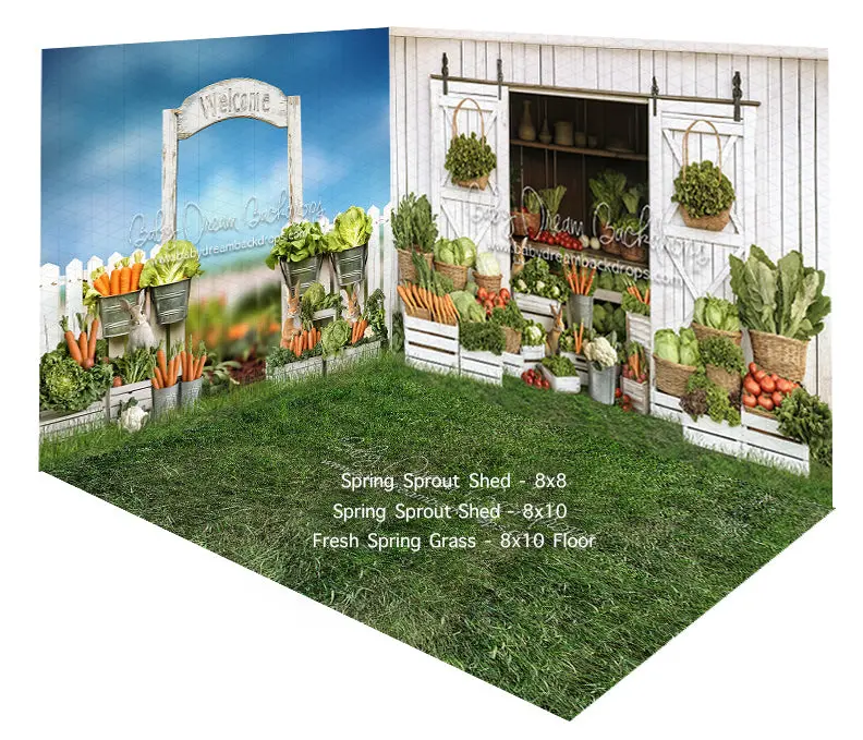 Room Spring Sprout Fence + Shed + Fresh Spring Grass 1