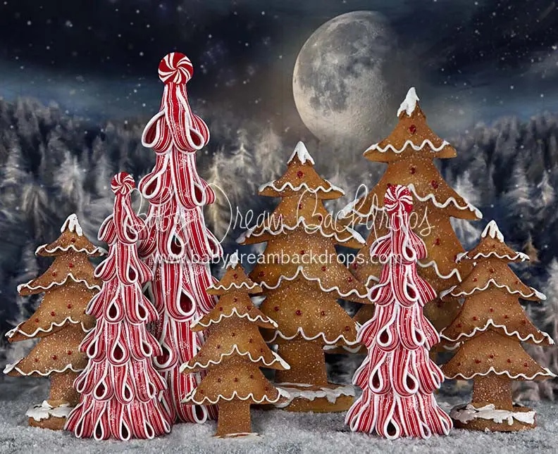 Rts 8X8 Fleece Gingerbread Trees Moonlight 1