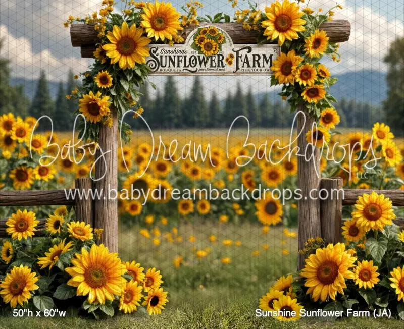 Rts A 10X10 Dream Fabric Sunshine Sunflower Farm (Ja) 1