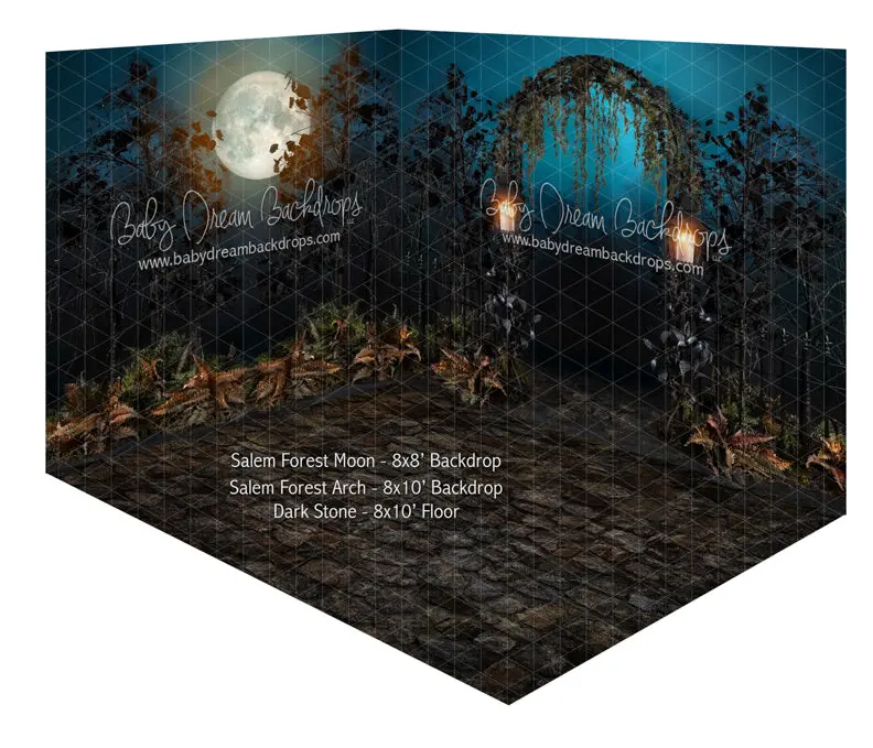 Salem Forest Moon And Salem Forest Arch Room 1
