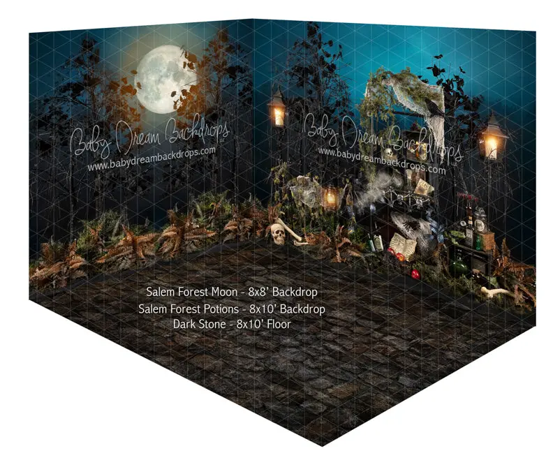 Salem Forest Moon And Salem Forest Potions Room 1