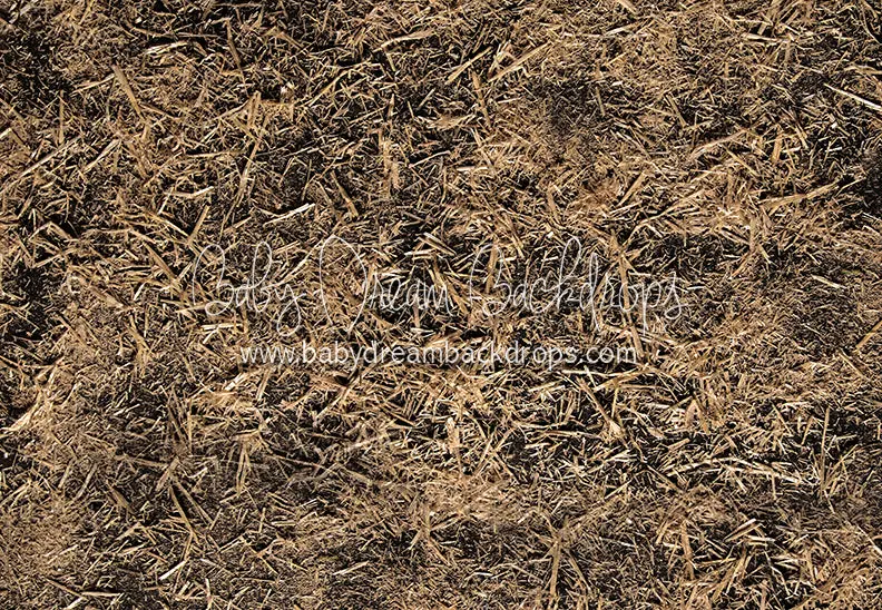 Scattered Straw Floor (Ja) 1
