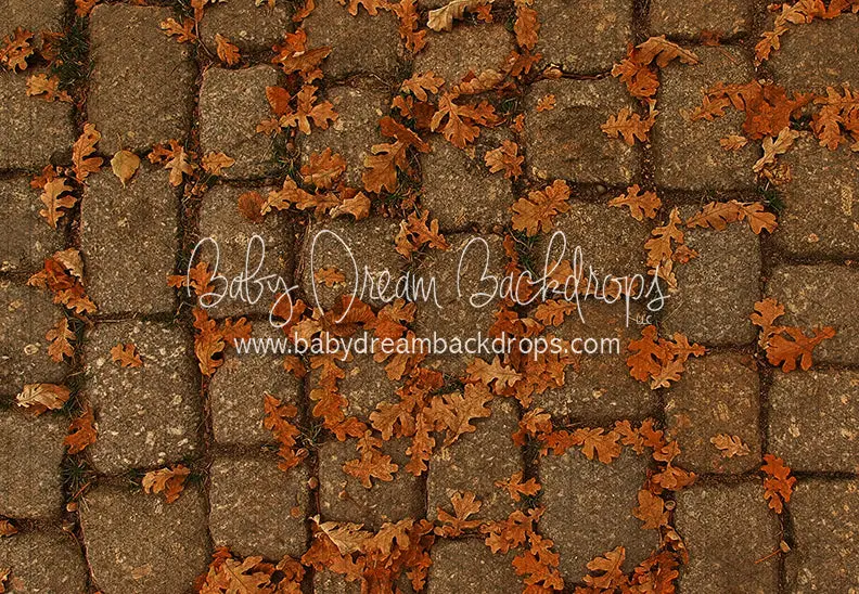 September Stones Floor (Cc) 1