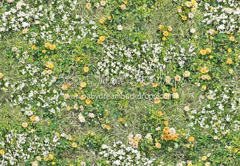 Simple Spring Meadow Floor (Cc) 1