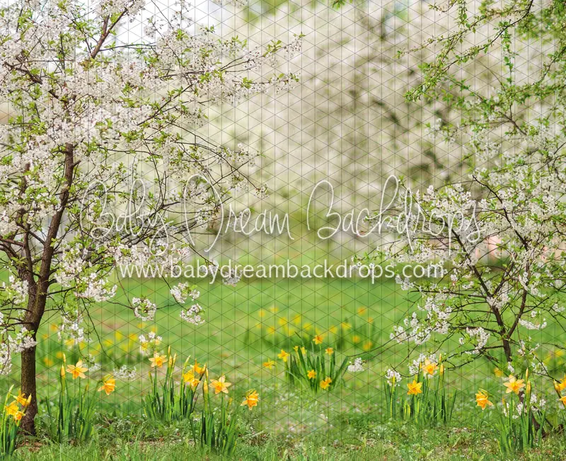 Simple Spring Meadow (Ja) 1
