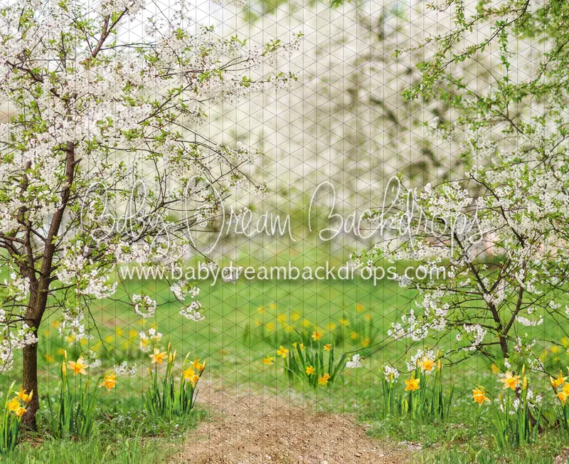 Simple Spring Path (Cc) 1